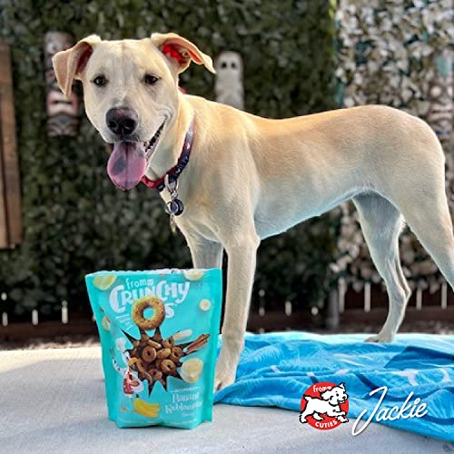 Fromm Crunchy Os Smoked Salmon Dog Treats - 6 oz Bags (Pack of 3) - Premium Salmon Recipe