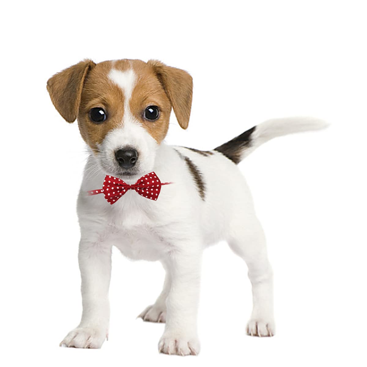 Petunny Dog Bow Ties With Adjustable,10Pcs Pet Bowties Cat Bow Ties Bulk Pet Bowties For Small Medium Boy Girl Dogs Cats Pet Grooming Accessories For Halloween Thanksgiving Christmas (Random Color)