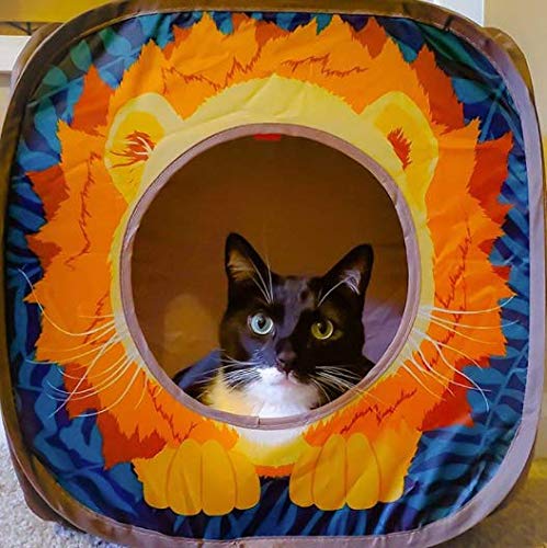 Kitty City Safari Jungle Collapsible Cat Toy Collection, Cube