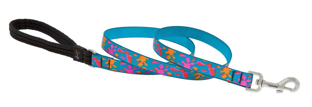 Lupinepet Originals 3/4' Wet Paint 6-Foot Padded Handle Leash For Medium And Larger Dogs
