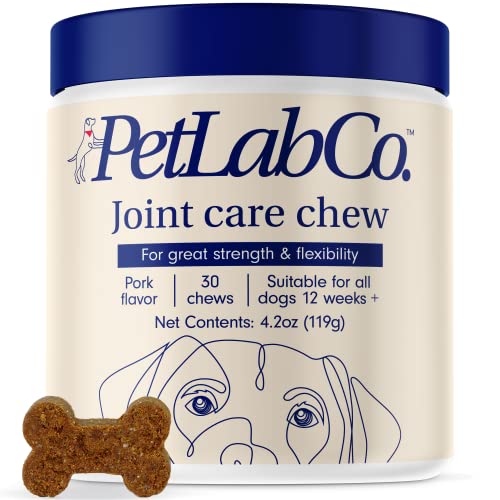 Petlab Co. Joint Care Chews - High Levels of Glucosamine for Dogs, Green Lipped Mussels, Omega 3 and Turmeric - Dog Hip and Join