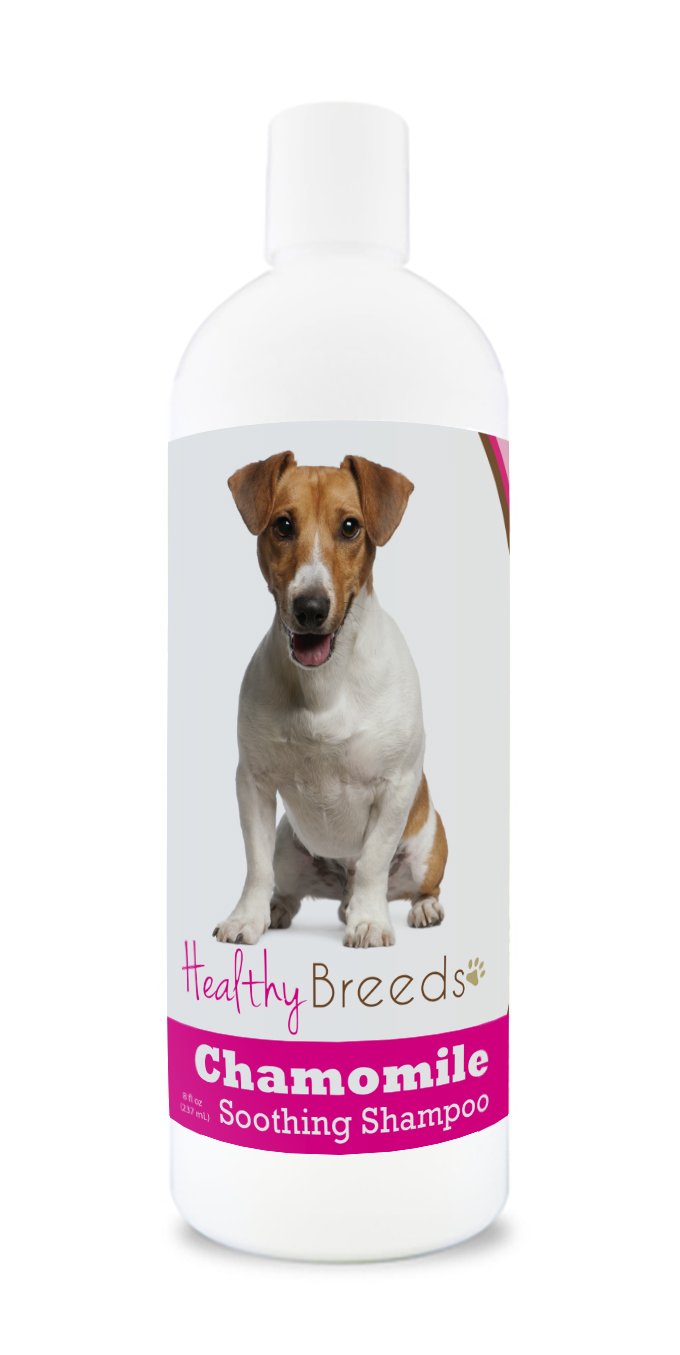 Healthy Breeds Jack Russell Terrier Chamomile Soothing Dog Shampoo 8 oz