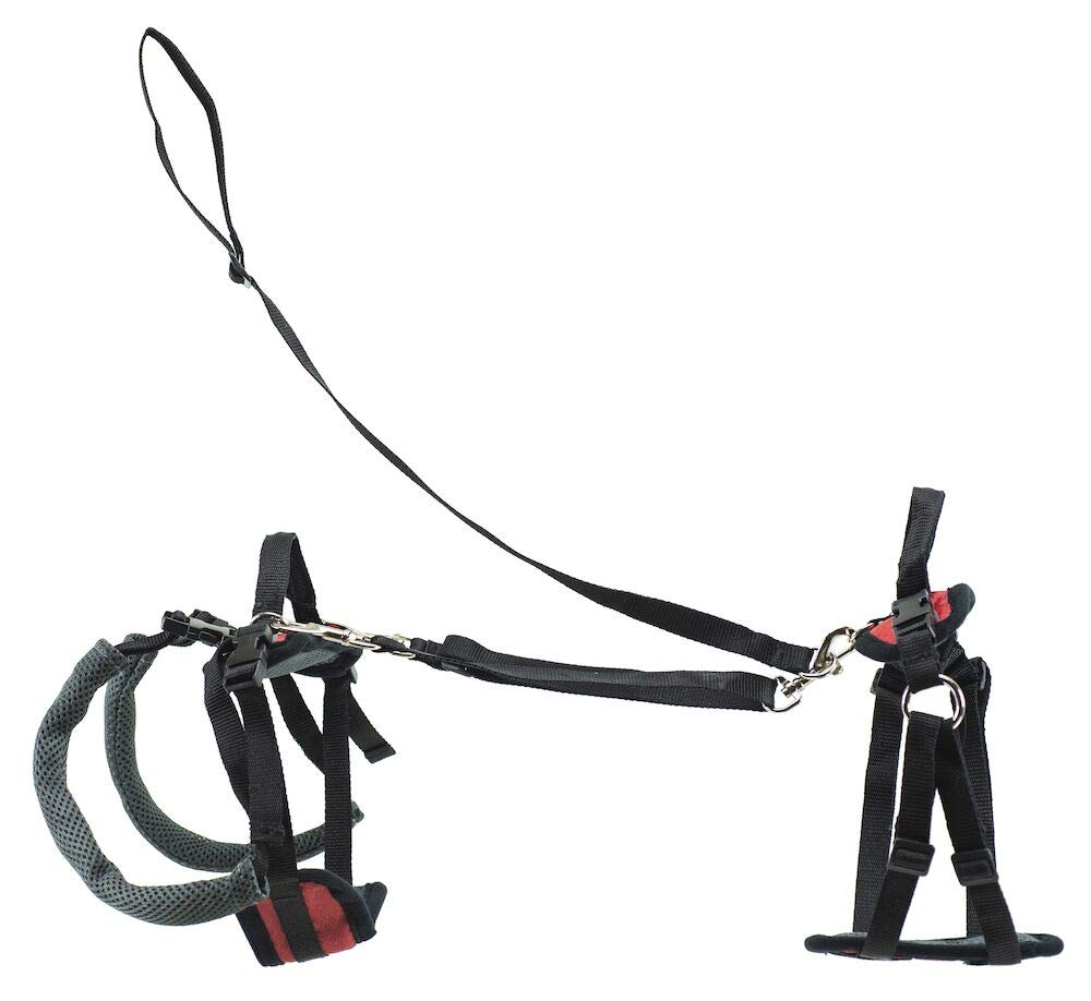 Petsafe Carelift Support Harness - Full Body Lifting Aid With Handle - Great For Pet Mobility And Older Dogs - Comfortable, Brea