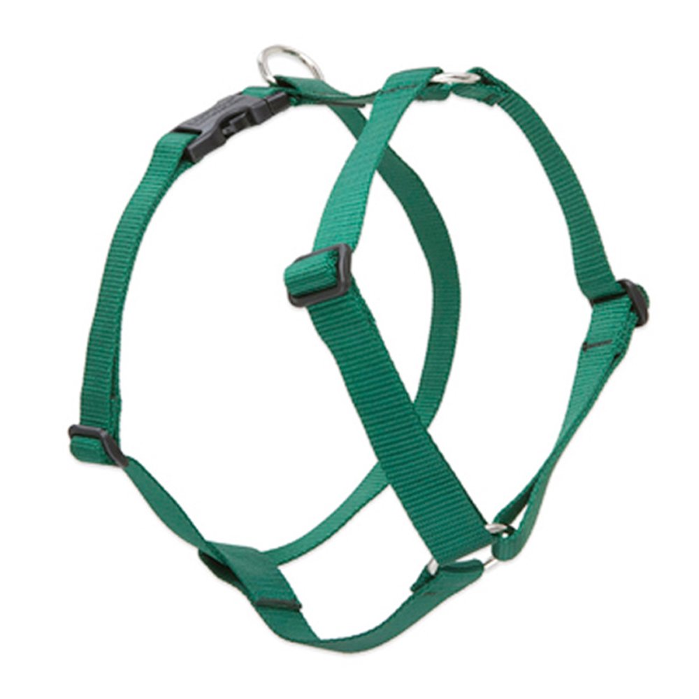 Lupinepet Basics 1/2' Green 9-14' Adjustable Roman Dog Harness For Extra Small Dogs