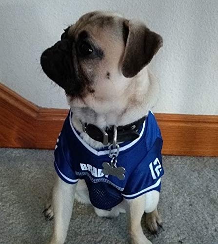 Klippy Pet Tag Quick Clip For Dogs And Cats, Silver