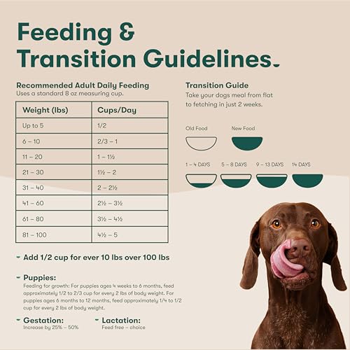 Jinx Premium Grain-Free Dry Dog Food, for All Lifestages - Real Chicken, Sweet Potato & Carrot Kibble with Superfoods for Immune