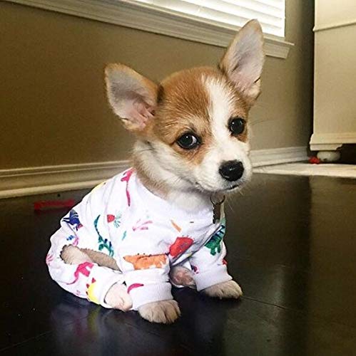 Cutebone Dinosaur Dog Pajamas Adorable Puppy Clothes Jumpsuit Pjs Pet Apparel Soft Fleece Cat Coat, Xs P01Xs