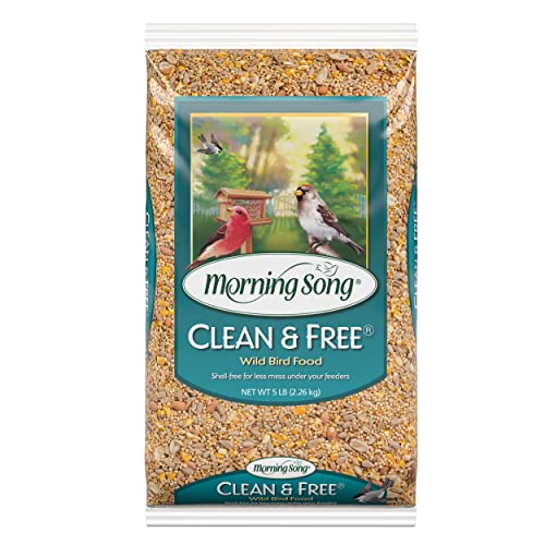 Morning Song Clean & Free Shell Free Wild Bird Food, Premium No Mess Bird Seed For Outside Feeders, 10-Pound Bag