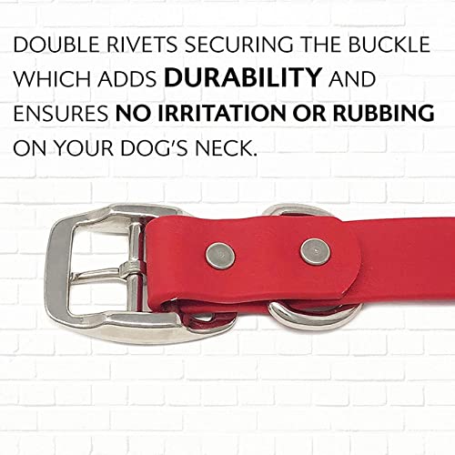 Regal Dog Products Large Red Waterproof Dog Collar With Heavy Duty Double Buckle & D Ring | Vinyl Coated, Custom Fit, Adjustable Pet Collars | Comes In Other Sizes For Puppy, Small And Medium Dogs