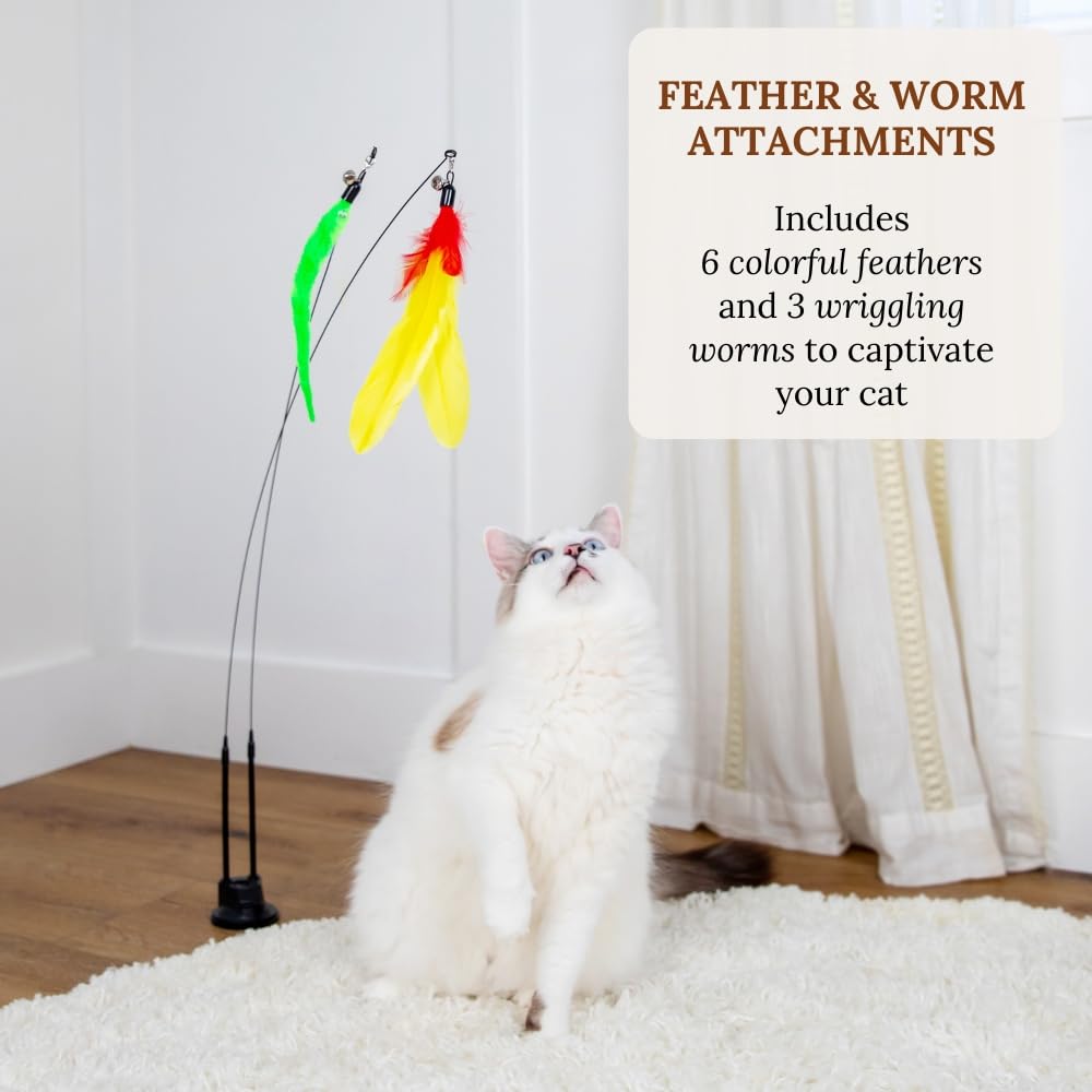 Gadgetsology Suction Cup Cat Toys For Indoor Cats Interactive Suction Cup Cat Wand Toy Feather Teaser For Indoor Cats & Kittens