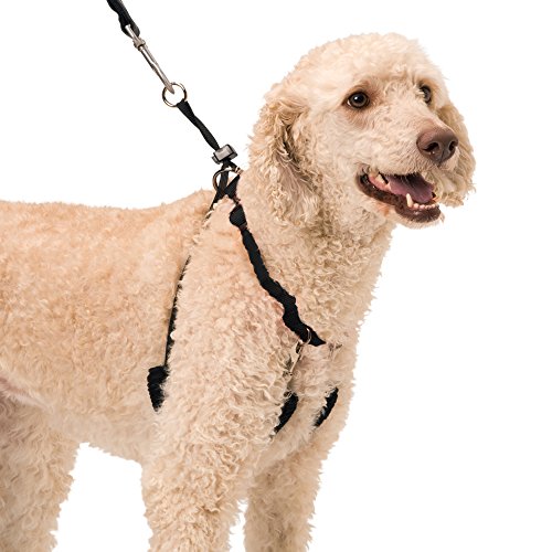 Sporn Yup! Pet Halter, Large, Black, (10058)