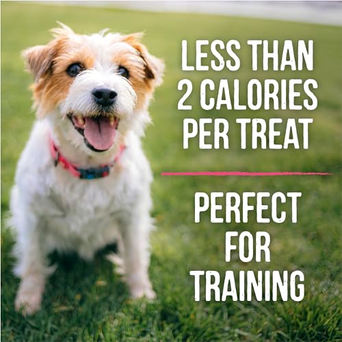 Merrick Lil Plates Small Salmon Recipe Grain Free Small Breed Dog Treats - 5 oz. Pouch