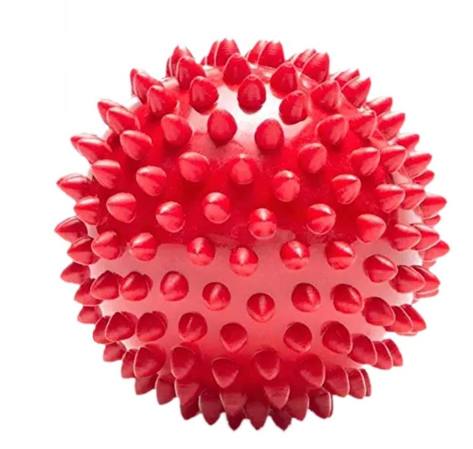 Pups&Pets NonToxic Rubber Stud Spike Hard Ball Chew Toy, Puppy/Dog Teething Toy  3 inches