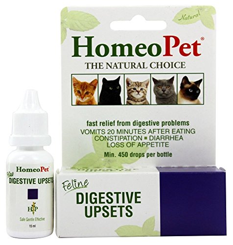 Dog Digestive Upset