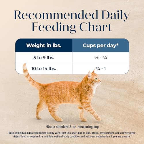 Blue Buffalo Basics Grain-Free Dry Cat Food, Skin & Stomach Care, Limited Ingredient Diet for Mature Indoor Cats, Turkey & Potat