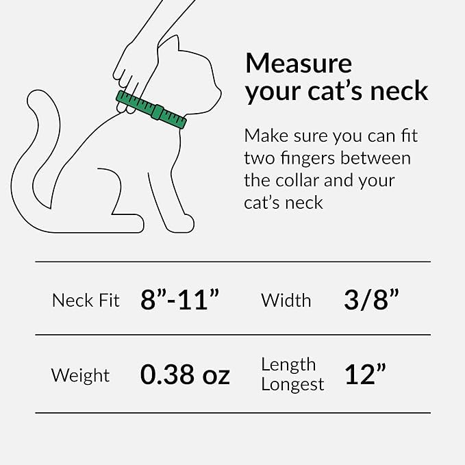 Cat Collar With Bells Xxs Dog Collar For Small Dogs Cute Baby Puppy Kitten Collar Girl Boy Adjustable For Xxsmall Xs Xsmall Tiny