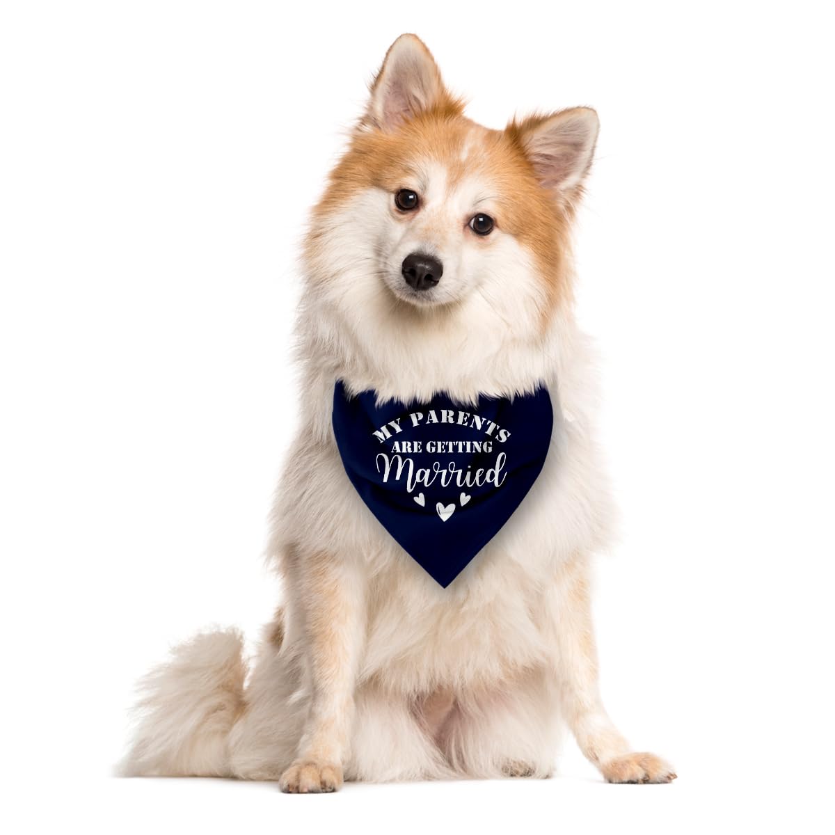 Dark Blue Dog Bandana, My Parents Are Getting Married Wedding Announcement Dog Bandana, Pet Triangle Scarf Accessories, Dogs Ban