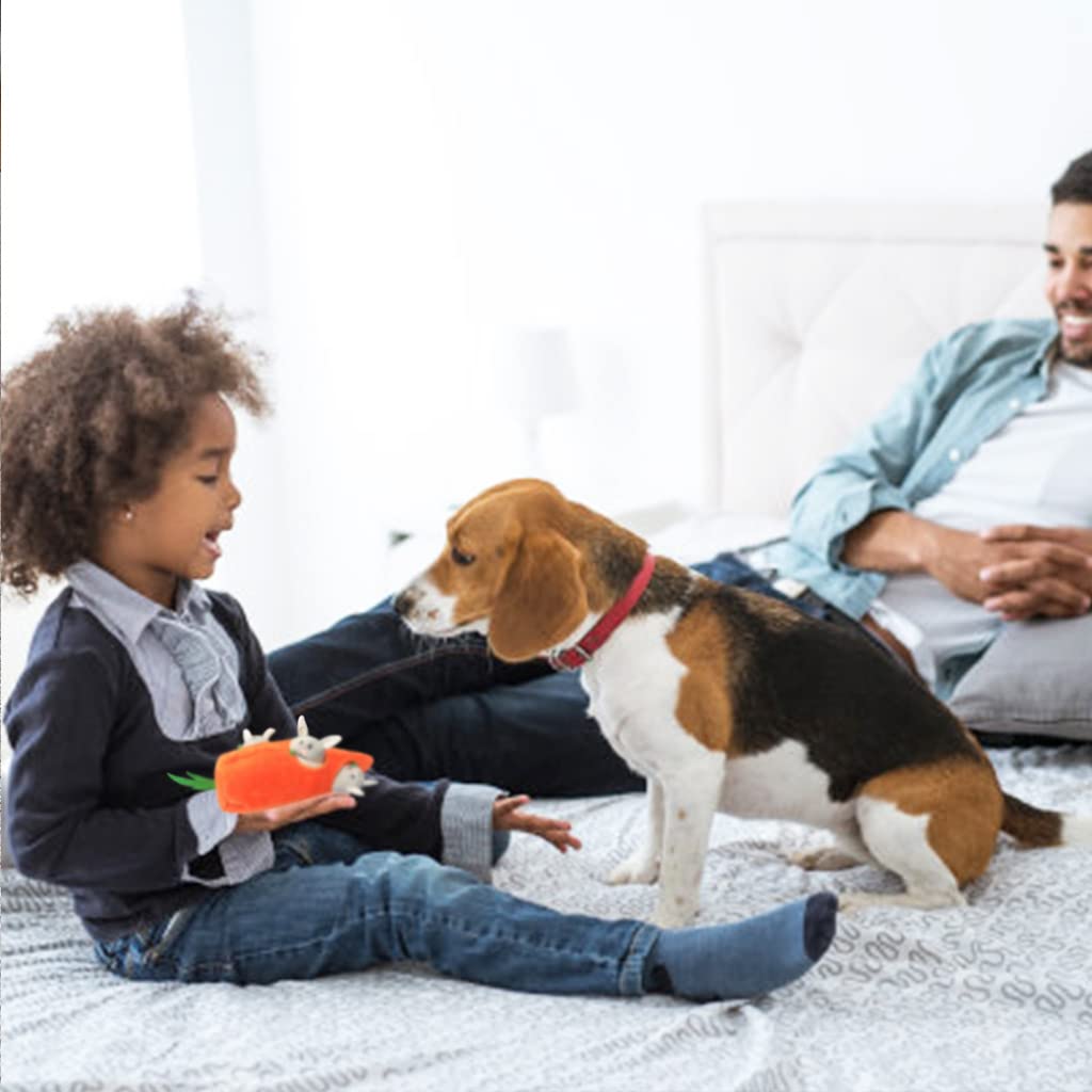 Ifoyo Plush Squeak Dog Toys, Stuffed Dog Plush Toy Easter Gift For Medium Small, Interactive Durable Dog Squeak Toy, Pets, Easter Dog Toy, Turnip Rabbit,Easter Day