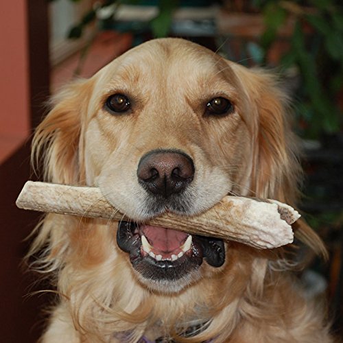 Cz Grain Large Grade A Deer Antlers For Dogs, Naturally Shed Deer Antlers, Organic Deer Antlers, All Natural Deer Antler Chews,