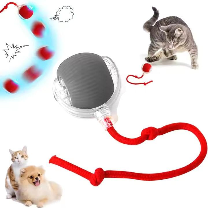 Zykornium Interactive Cat Ball Toy, Automatic Moving Smart Ball, Usb Rechargeable, Self-Rolling With Faux Tail, 360 Motion, Mimi