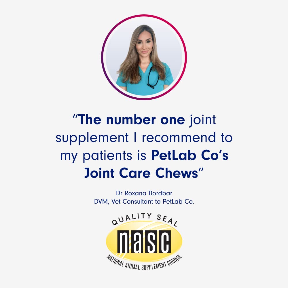 Petlab Co. Joint Care Chews - High Levels of Glucosamine for Dogs, Green Lipped Mussels, Omega 3 and Turmeric - Dog Hip and Join