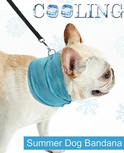 Pet Ice Band Dog Cooling Bandana For Dogs Cats Instant Cooling Collar Breathable Summer Scarf For Hot Days & Summer