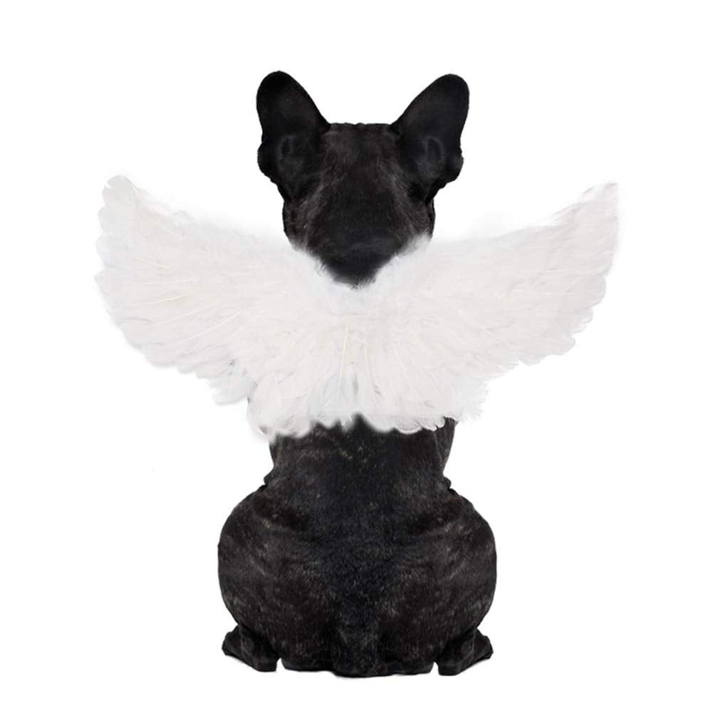 Weeh Pet Halloween Costume Cosplay Angel Devil Black White Wing For Dog Cat Rabbit Piggy - Funny Gift At Halloween Party Anime Theme Birthday Christmas (White, Large)