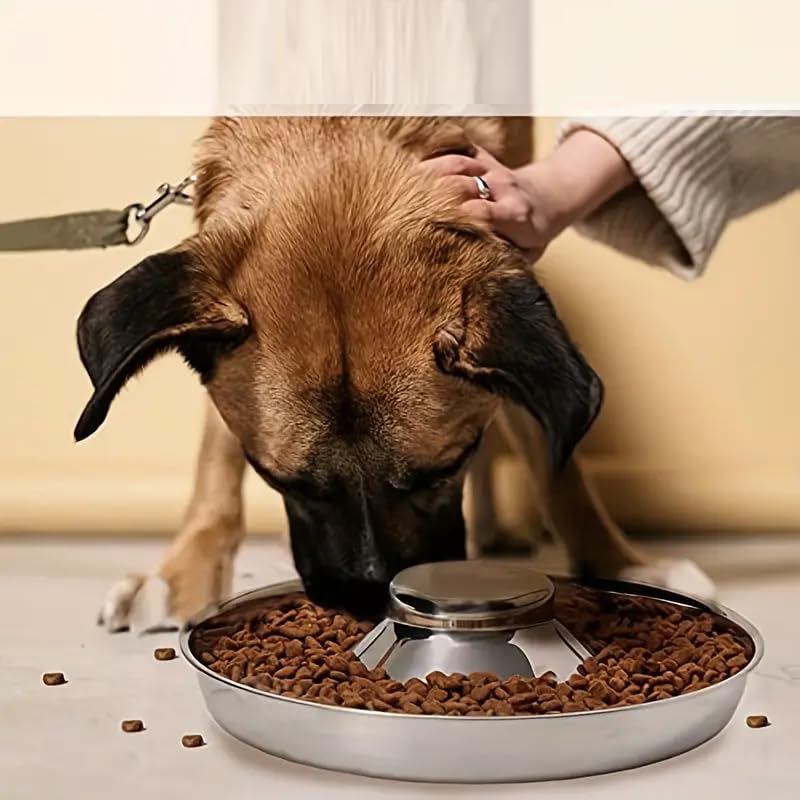 The Dds Store Stainless Steel Dog Slow Feeder Bowl, AntiKnock AntiChoking Dog Puzzle Food Bowl Water Bowl For Indoor Dogs (36 