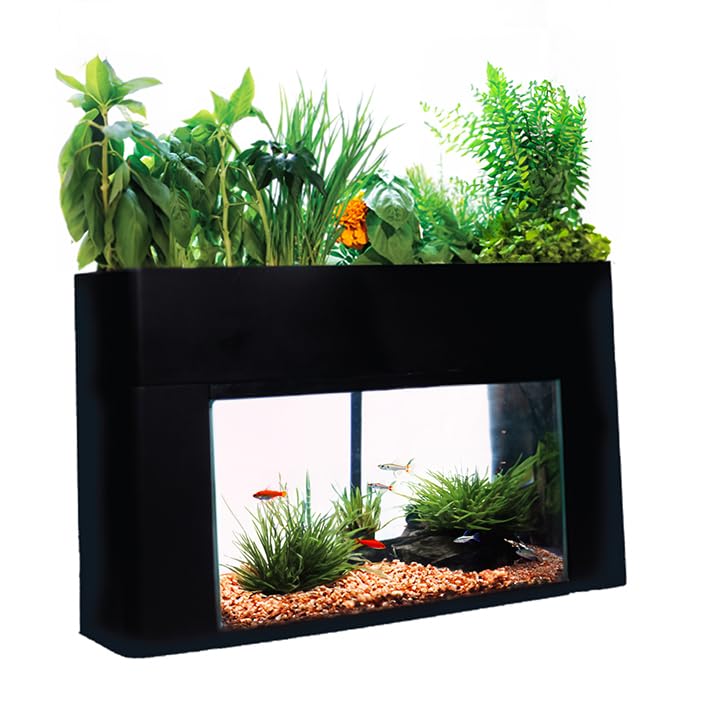 Aquasprouts Aquaponics Garden, Self-Sustaining Desktop Aquarium Hydroponics Ecosystem Kit, Fits Standard 10 Gallon Aquariums