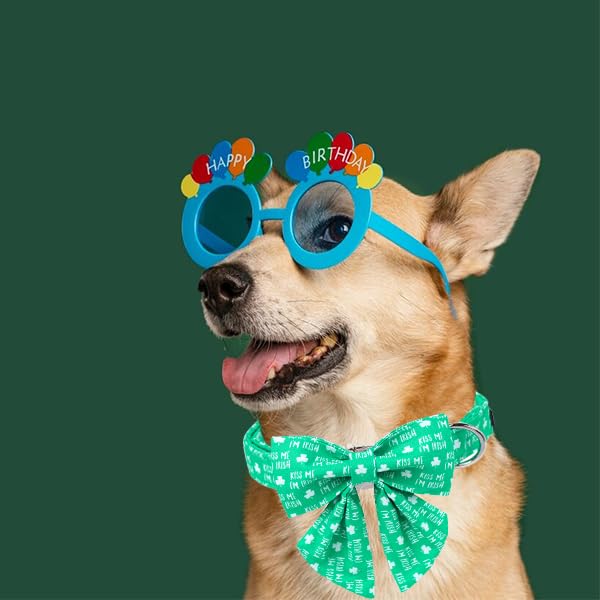 Unique Style Paws St. Patrick'S Dog Collar With Bow Green Clover Dog Collar Bowtie Puppy Collar For Large Medium Small Dogs