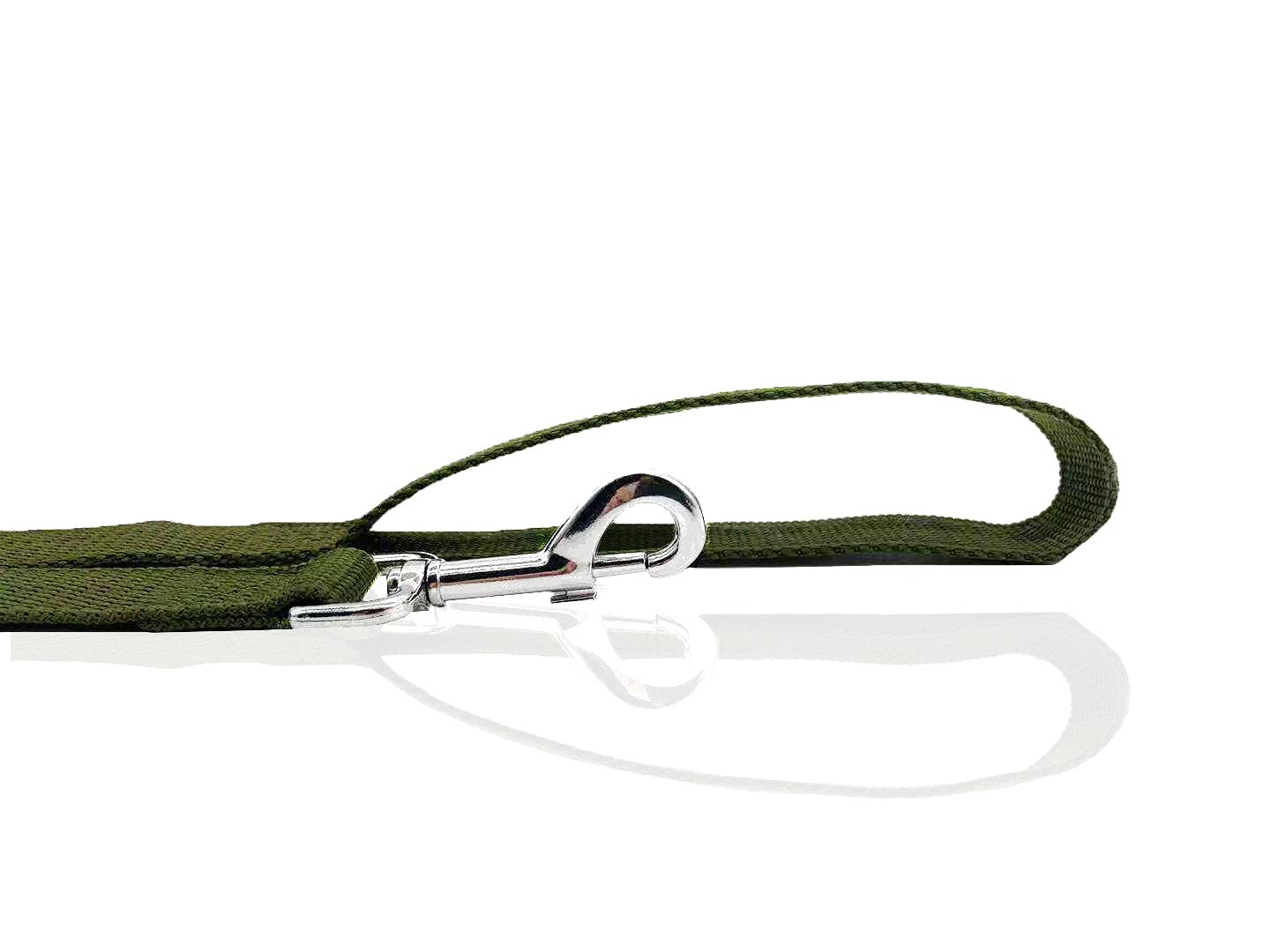 Nylon Dog Leash 16 Feet Long, Walking Training Dog Leashes For Medium Large Dogs(1'' X 16 Ft, Green)