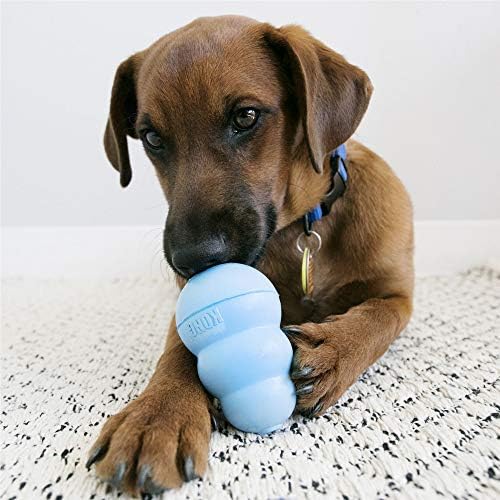 KONG Snacks for Dogs Puppy Recipe Large
