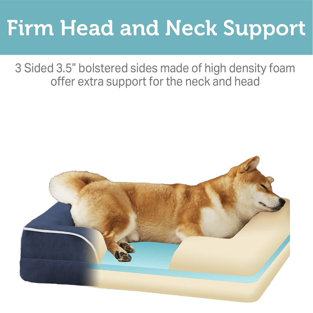 Friends Forever Orthopedic Dog Bed for Medium Dogs, Waterproof Memory Foam Dog Sofa Bed M with Removable Washable Cover, Ally Na