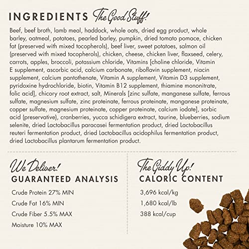 Fromm Four-Star Nutritionals Highlander Beef, Oats, & Barley Dog Food - Premium Dry Dog Food - Beef Recipe - 12 lb
