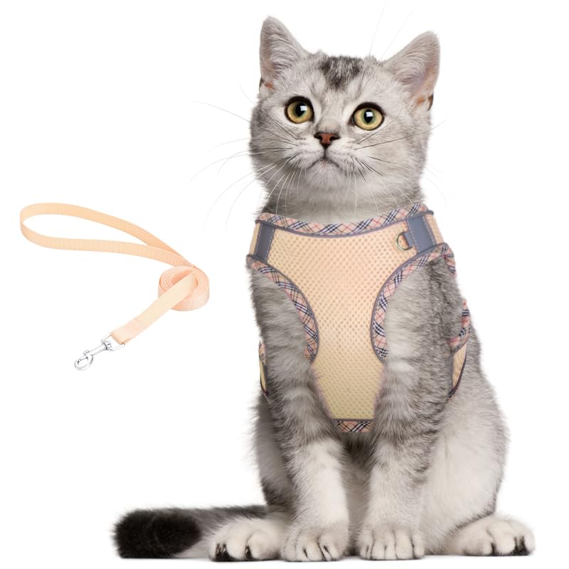 Petsafe Easy Walk Dog Harness And Leash Set - No Pull, Reflective, Step-In Vest Harness For Small Dogs, Cats (Beige, Xs)