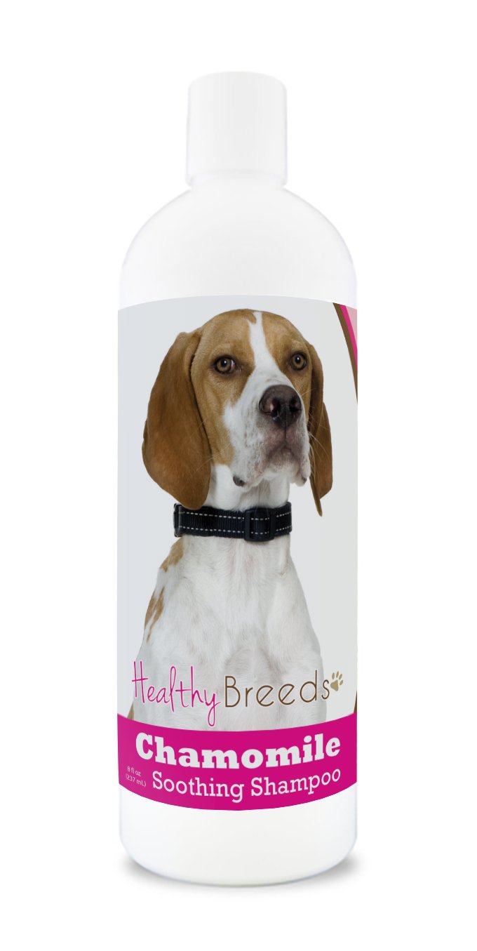 Healthy Breeds English Pointer Chamomile Soothing Dog Shampoo 8 oz