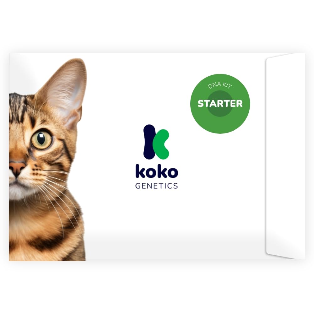 Koko Genetics Starter DNA Test for Cats, Analyzes & Identifies 40+ Breeds and Offers 46+ Genetic Traits and Family Tree Reports,