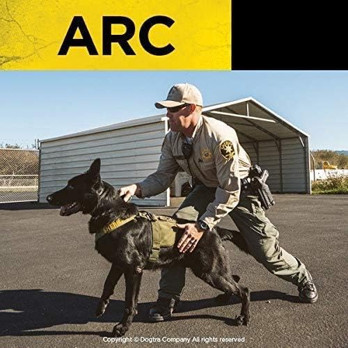 Dogtra ARC Remote Training Collar System, Black