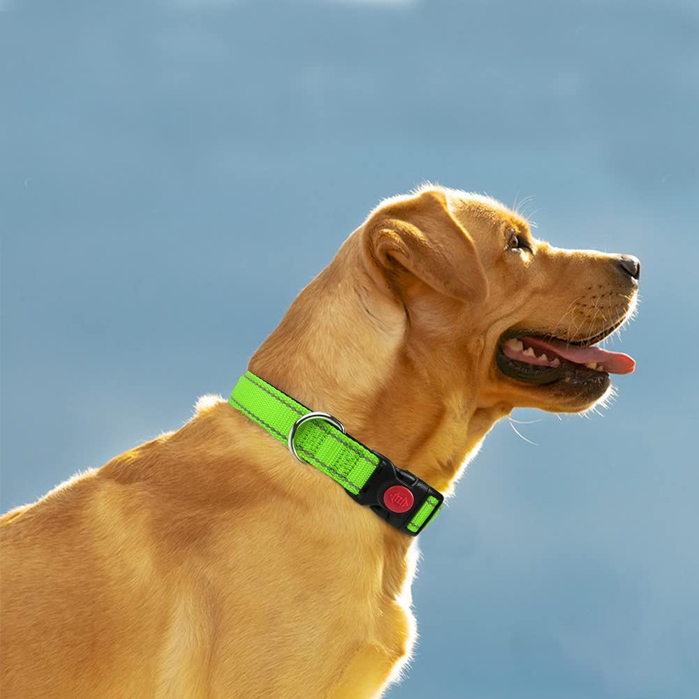 Taglory Reflective Dog Collar With Safety Locking Buckle, Adjustable Nylon Pet Collars For Extra Large Dogs Female Male, Green, Xl