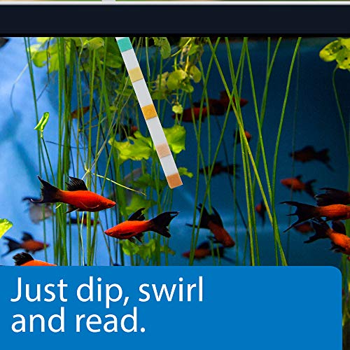 Api 5-In-1 Test Strips Freshwater And Saltwater Aquarium Test Strips 4-Count Box