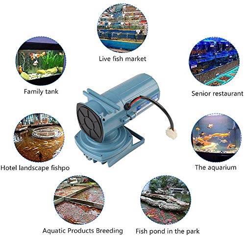 Aquarium Air Pump, DC 12V 35W Air Pump Aerator Fish Oxygen Pump for Fish Fountain Pond Hydroponics Aquaculture Aquarium Accessor