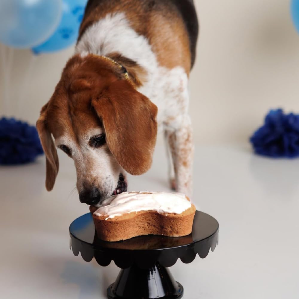 Puppy Cake Dog Birthday Cake Kit - Cake Mix, Icing Mix, Candle and Swirl Tri Color Silicone Pan, Peanut Butter Flavor - Bake or