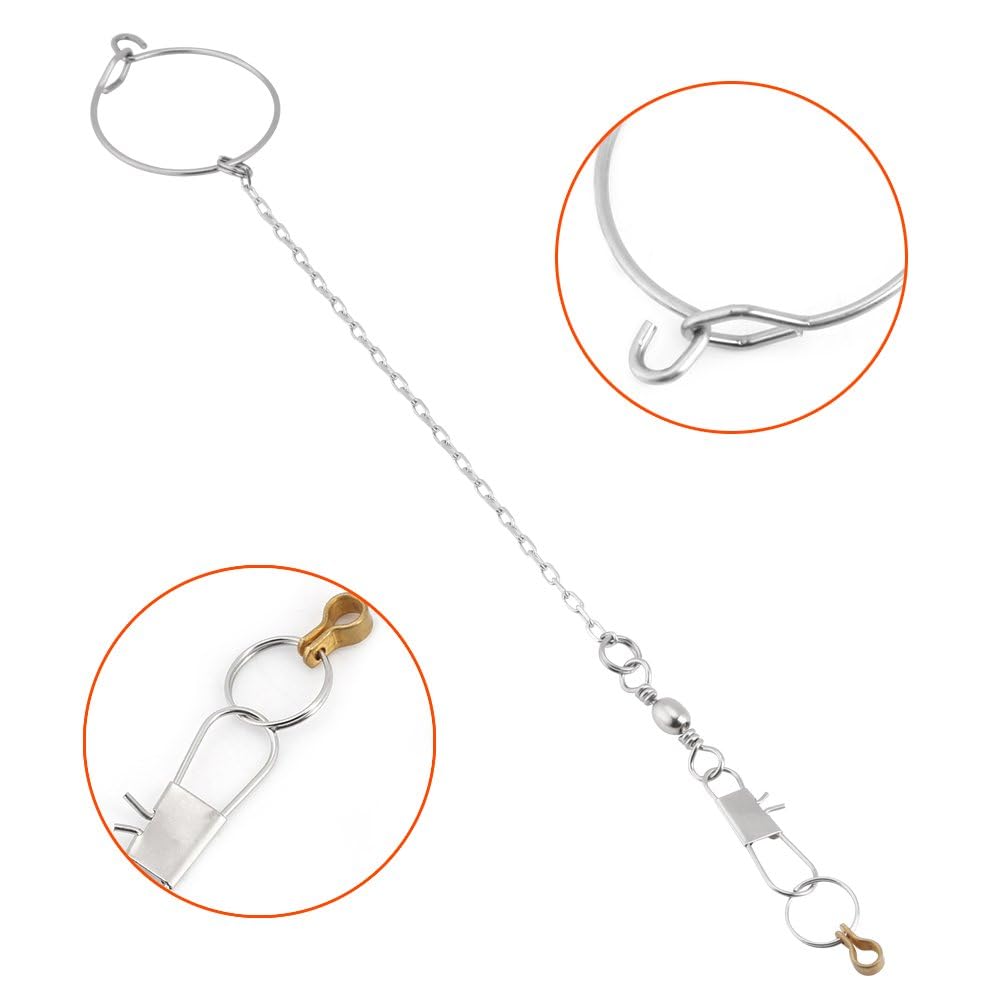 Parrot Foot Ring, Bird Anklet Chain Stainless Steel Bird Leash Parrot Opening Activity Ring Bird Stand Anklet Pet Bird Supplies