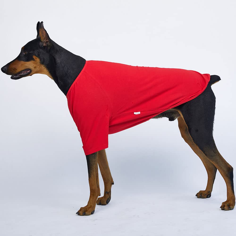 Lucky Petter Dog Shirt For Small Dogs Plain T-Shirts Soft Breathable Dog Cotton Shirt Pet Clothes (X-Large, Red)