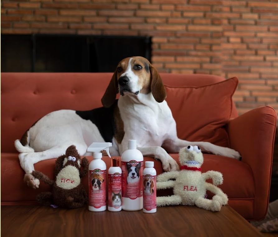 Bio-Groom Flea & Tick Dog Shampoo - Flea And Tick Prevention For Dogs, Cat Flea Treatment, Cruelty-Free, Made In Usa, Natural Ti