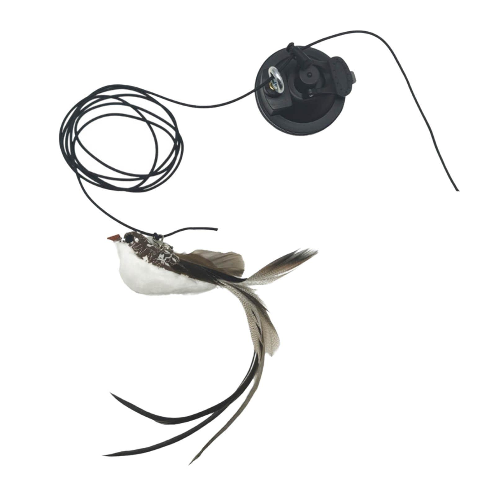 Zoomella Cat Stick Toys Interactive Teaser Rod Powerful Suction Cup For Kitten Chase C|Toys|Pet Supplies