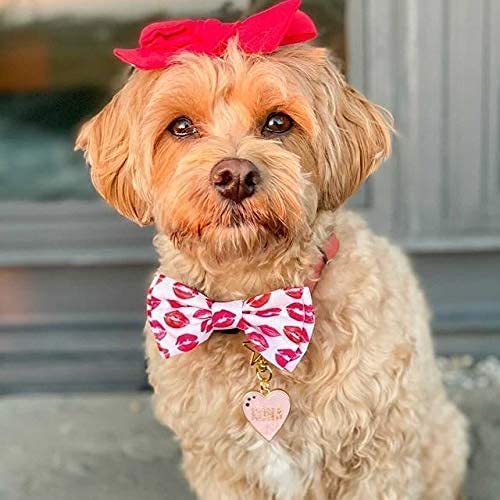 Huxley & Kent Bow Tie For Pets - Kisses (Large) - Valentine'S Day Pet Bow Tie Collar Attachment - Fun Bow Ties For Dogs & Cats -