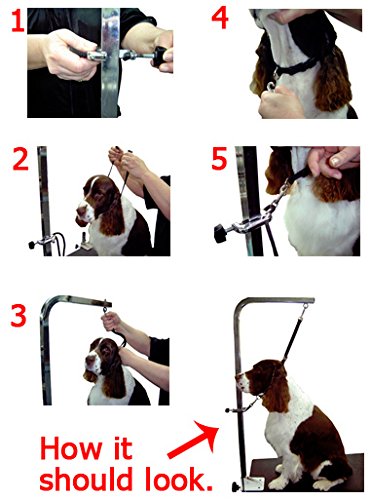 Groomers Helper Classic Starter Set (Black)