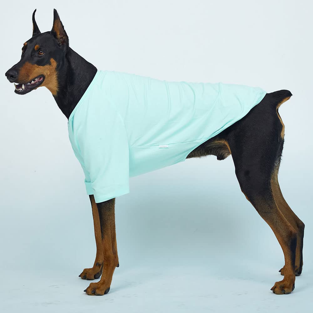 Lucky Petter Dog Shirt For Small Dogs Plain T-Shirts Soft Breathable Dog Cotton Shirt Pet Clothes (4X-Large, Mint)