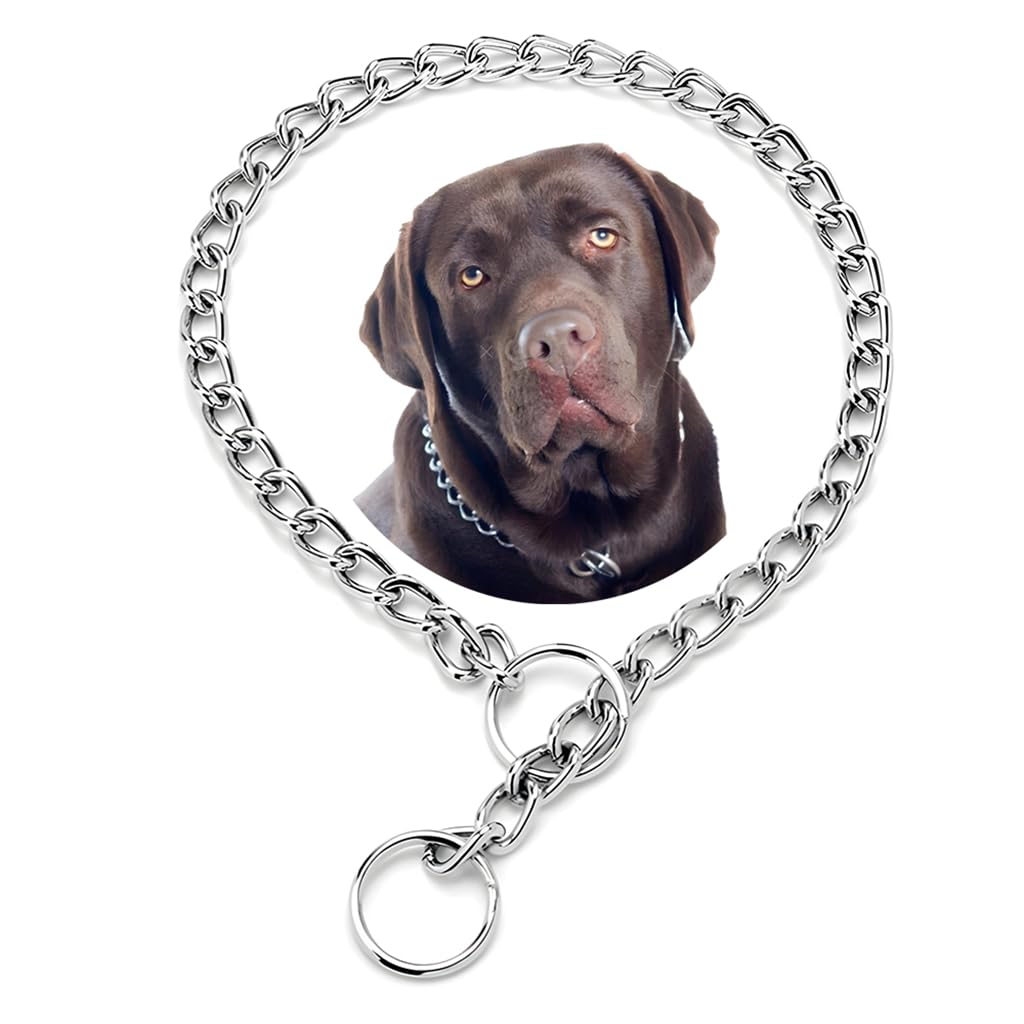 Chain For Dogs, Silver S Metal Slip Link Training Heavy Duty Dog Collar Martingale Puppy Collars For Xxs Xs Small Medium Large B